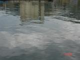 DSC07952.JPG