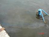 DSC07960.JPG