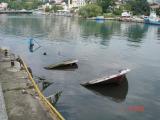 DSC07966.JPG