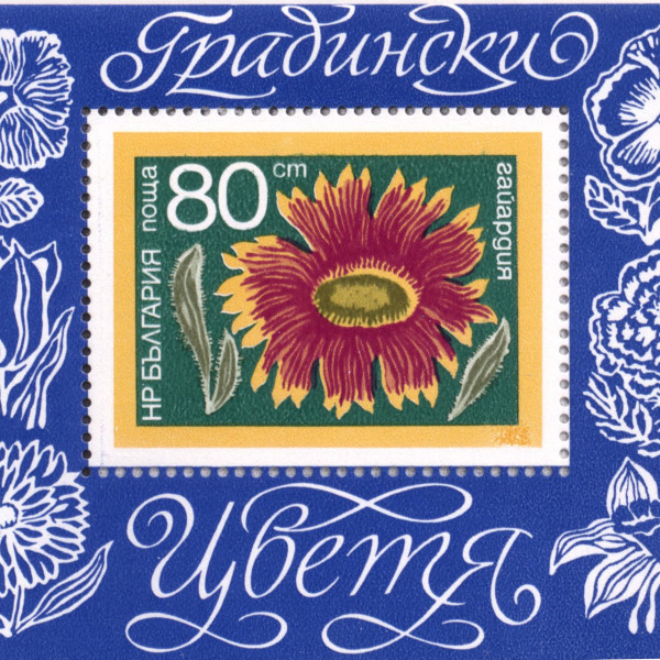 80 стотинки