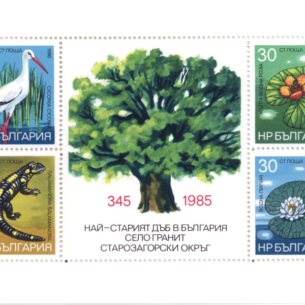 1,20 лева
