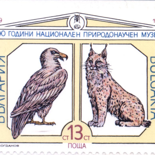 13 стоинки