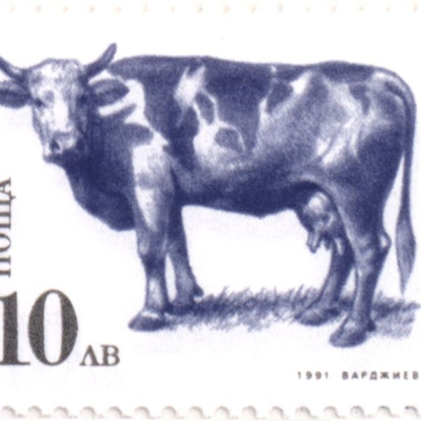 10 лева