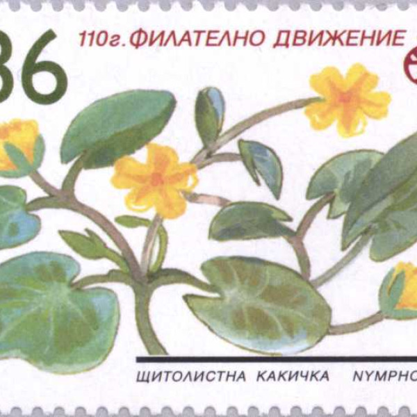 36 стотинки