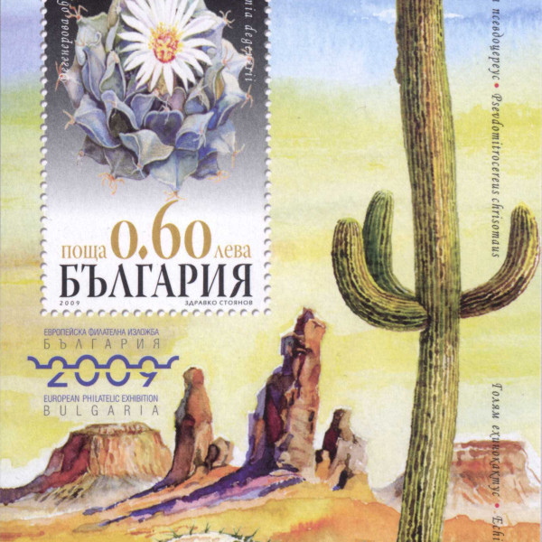 60 стотинки