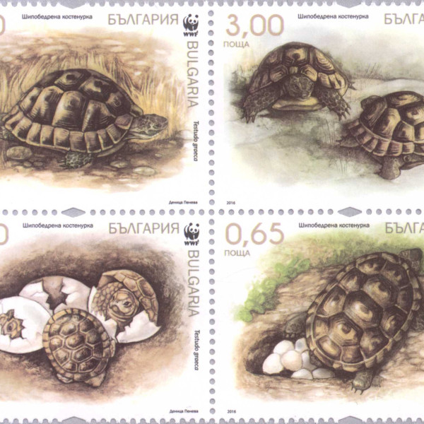 5,85 лева