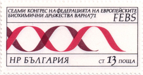 13 стотинки