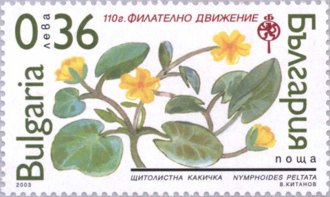 36 стотинки