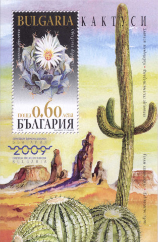 60 стотинки