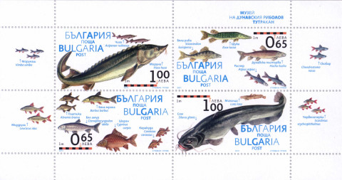 блок-лист