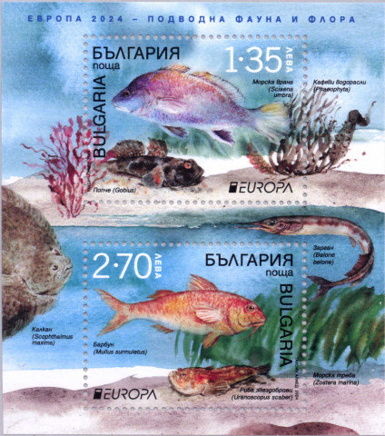 4,05 лева
