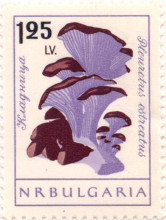 1.25 лева