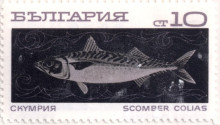 10 стотинки скумрия