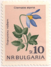 10 стотинки