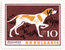 10 стотинки