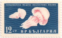 12 стотинки