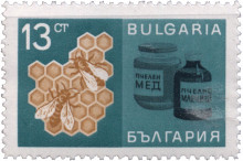 13 стотинки