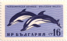 16 стотинки