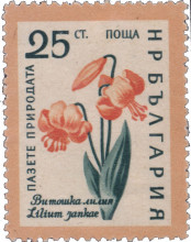 25 стотинки