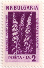 2 лева
