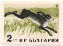 2 стотинки