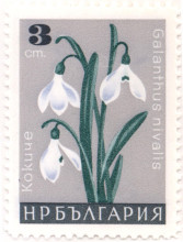 3 стотинки