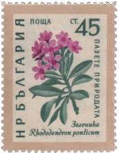 45 стотинки