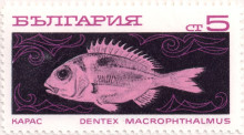 5 стотинки