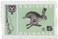 5 стотинки