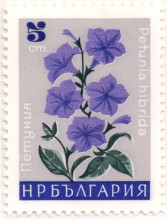 5 стотинки