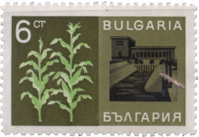 6 стотинки