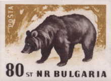 80 без перфорация