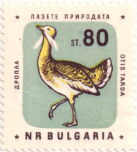 80 стотинки ДРОПЛА