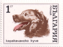 1 стотинка