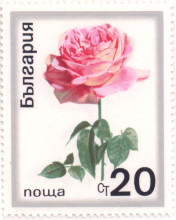 20 стотинки