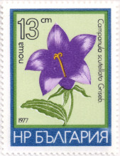 13  стотинки