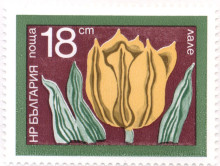 18 стотинки