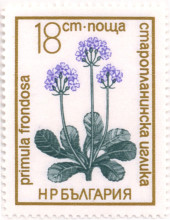 18 стотинки