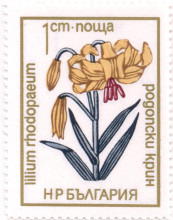1 стотинка