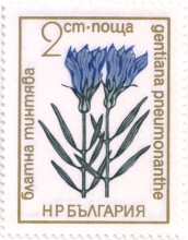 2 стотинки