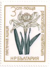 3 стотинки