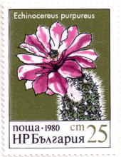 25 стотинки