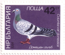 42 стотинки