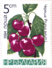 5 стотинки