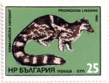 25 стотинки