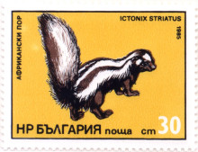 30 стотинки
