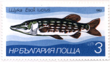 3 стотинки