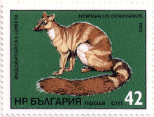 42 стотинки