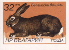 32 стотинки