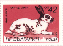 42 стотинки